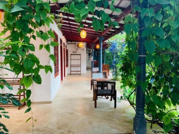 Mirissa Blue Whale Holiday Hotel Bagian luar foto