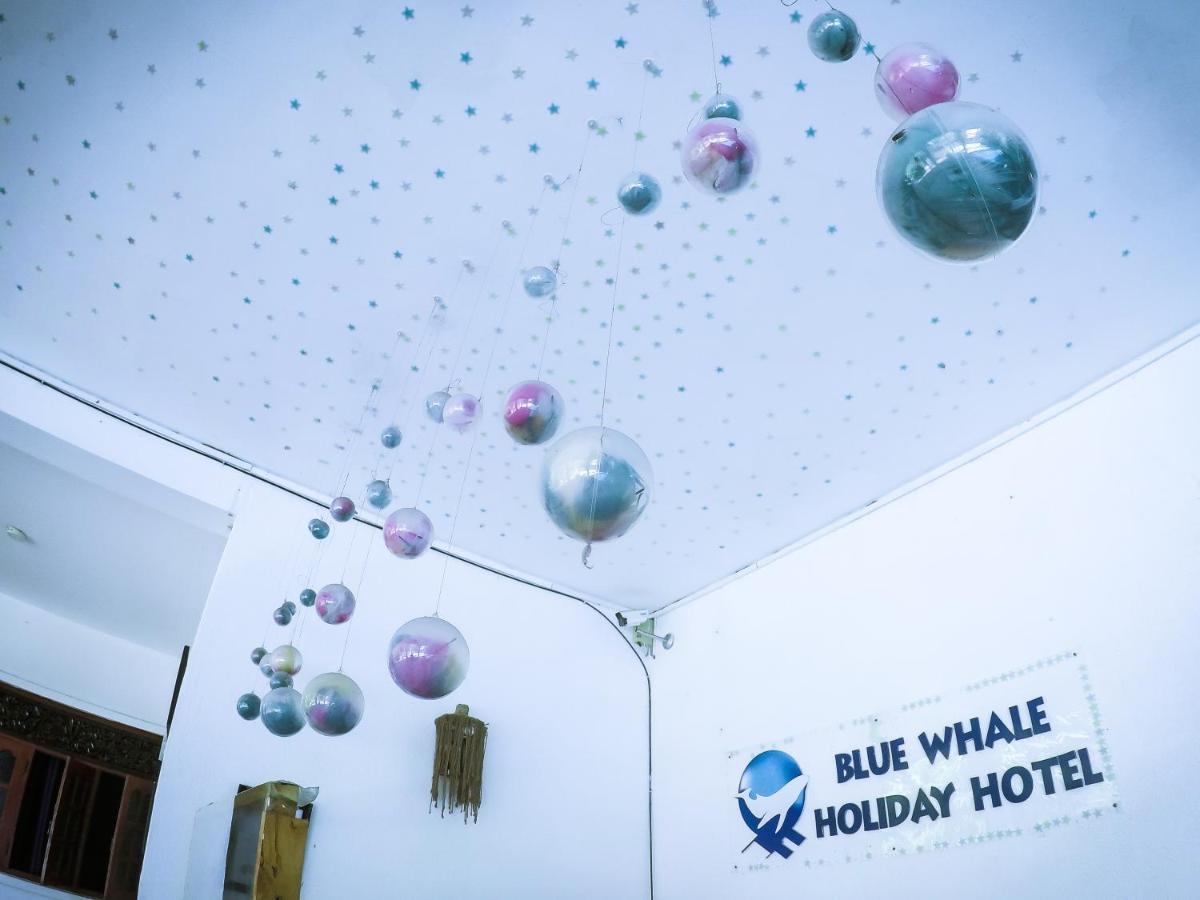 Mirissa Blue Whale Holiday Hotel Bagian luar foto