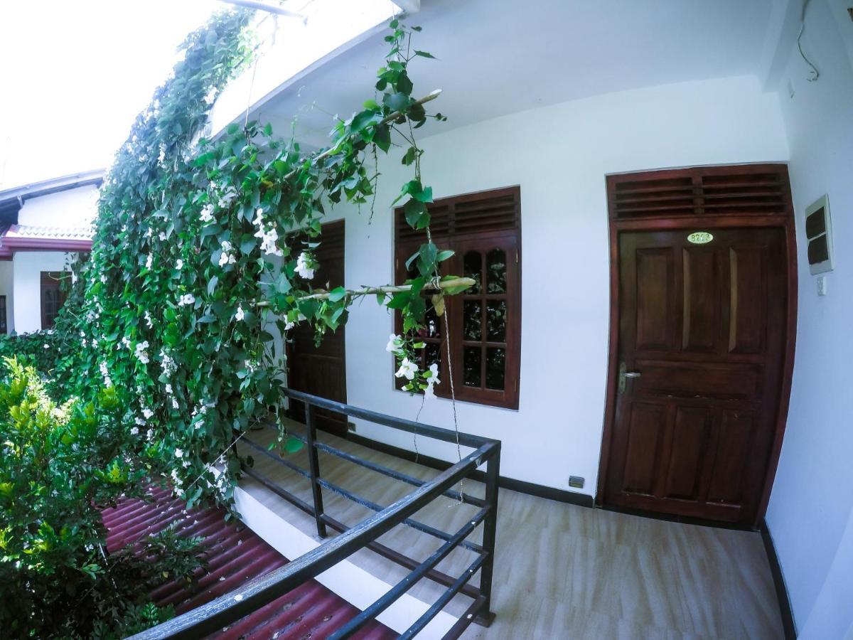 Mirissa Blue Whale Holiday Hotel Bagian luar foto